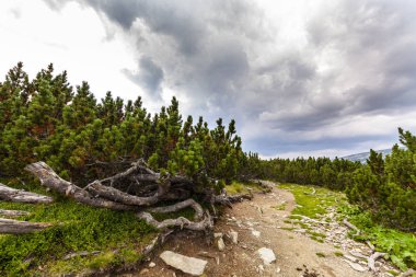 Yazın Alp dağlarında dramatik fırtına bulutları