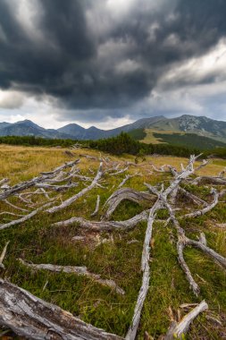 Yazın Alp dağlarında dramatik fırtına bulutları