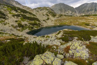 Yaz aylarında Alpler 'de berrak bir buzul gölü olan dağ manzarası.