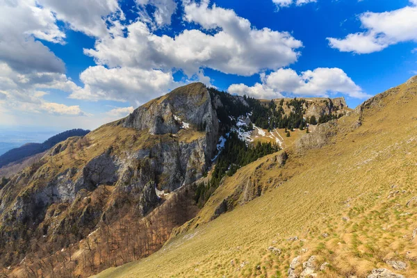 夏初特兰西瓦尼亚阿尔卑斯山脉美丽的山景 — 图库照片