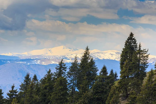 Vackra Bergslandskap Transsylvanska Alperna Början Sommaren — Stockfoto