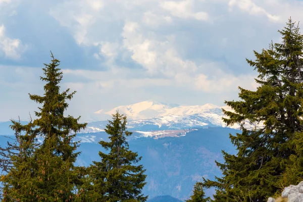 夏初特兰西瓦尼亚阿尔卑斯山脉美丽的山景 — 图库照片