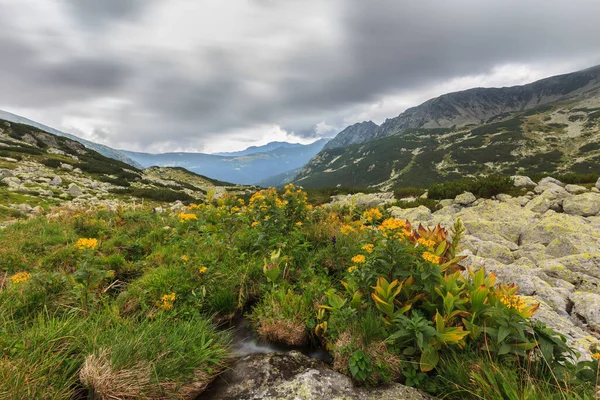 Sommerlandschaft Den Siebenbürgischen Alpen Mit Granitfelsen Gletschersee Und Gewitterwolken — Stockfoto