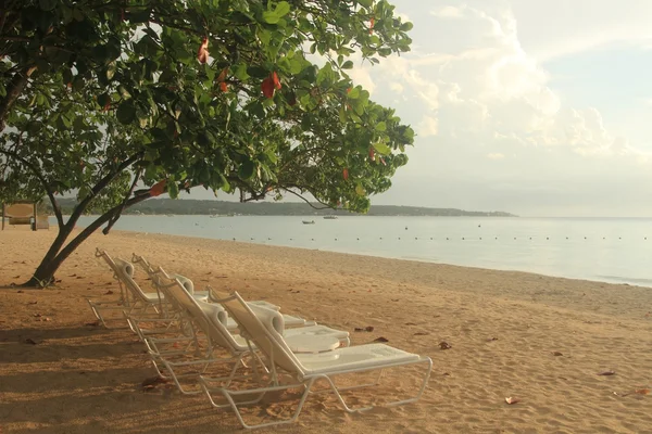 Seven mile beach. Jamaica, Negril Royaltyfria Stockbilder