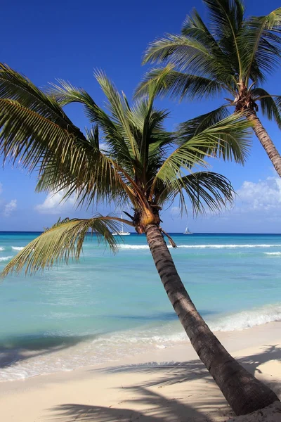 Caribbean sea. Shona beach. — Stock Photo, Image