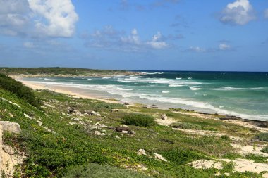 Cozumel Adası, Meksika kumsalda.
