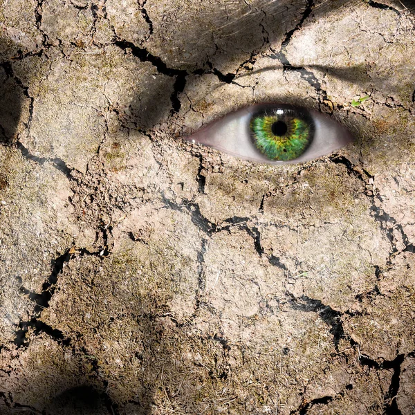 Hond verven Hond verven