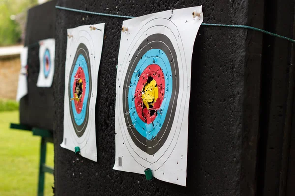 the target for practicing archery outdoors with holes