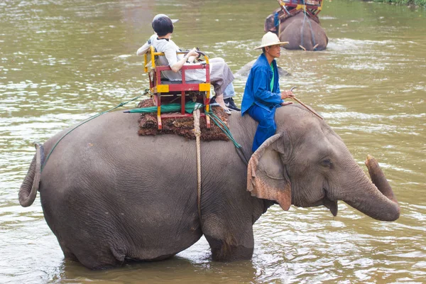 Lampang Tayland 15 Nisan 2016: Tayland fil koruma merkezi - etkinlikler fil banyo fil banyo doğal olarak, soğutma için bir fil banyo gibi  