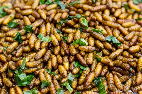 Insectos Fritos Grasshopper Insecto Crujiente Comida Tailandesa Mercado Alimentos Calle —  Fotos de Stock