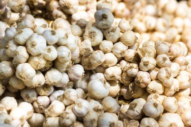 Sarımsak temel ve pişirme, varlığını birçok besin öğeleri ile