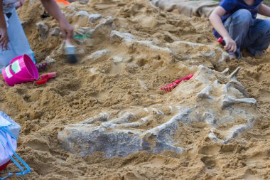Dinozor kalır, Excavating Dinozor fosilleri simülasyon parkta çocuklar öğrenme.