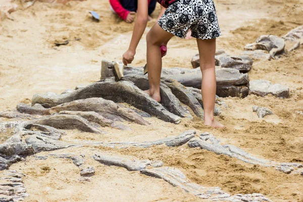 Los Niños Están Aprendiendo Restos Dinosaurios Excavando Fósiles Dinosaurios Simulación — Foto de Stock
