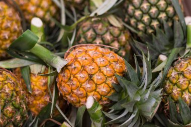 Satılık Tayland Bangkok önce piyasada ananas closeup çok