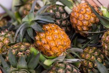 Satılık Tayland Bangkok önce piyasada ananas closeup çok