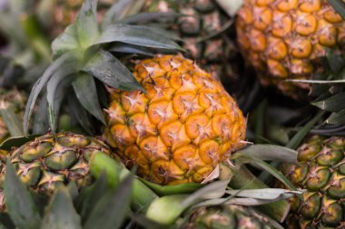 Satılık Tayland Bangkok önce piyasada ananas closeup çok