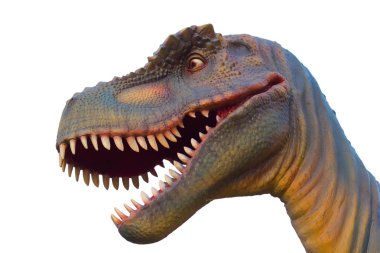 dinozor Isolated izole beyaz zemin üzerine kafa