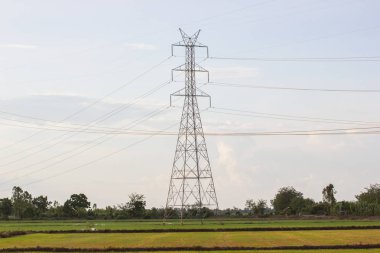  Yüksek gerilim enerji nakil direkleri - yeşil pirinç tarlalarının arasında yer alan  