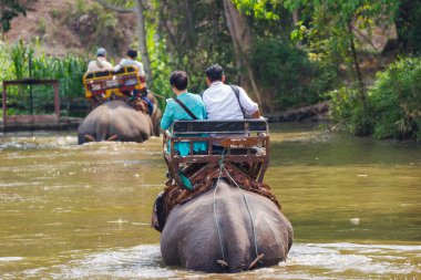 Lampang Tayland 15 Nisan 2016: Tayland fil koruma merkezi - etkinlikler fil banyo fil banyo doğal olarak, soğutma için bir fil banyo gibi  