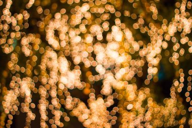 bokeh - dekoratif açık dize ışıklar gece bahçede ağaç üzerinde asılı - dekoratif Noel ışıkları - mutlu yeni yıl 
