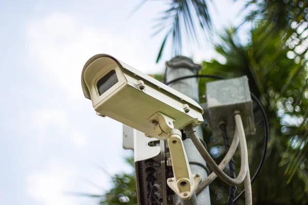 Telecamera Sicurezza Cctv Monitorare Proteggere Nel Parco Con Sfondo Albero — Foto Stock