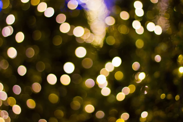 Blur - bokeh Decorative outdoor string lights hanging on tree in the garden at night time - decorative Christmas lights - happy new year