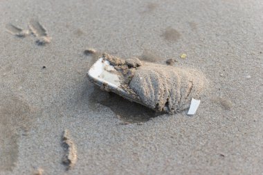 Cep telefonu plajda denize satışa çıkardı.