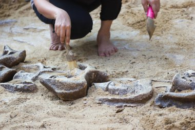 Dinozor kalır, Excavating Dinozor fosilleri simülasyon parkta çocuklar öğrenme.