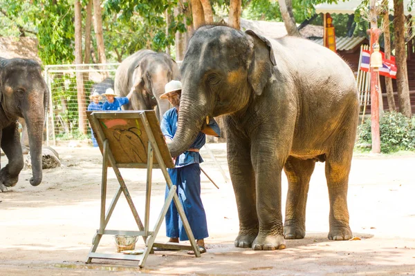 Картины Слонов Лампанг Таиланд Апрель 2016 Центр Охраны Слонов Таиланда — стоковое фото