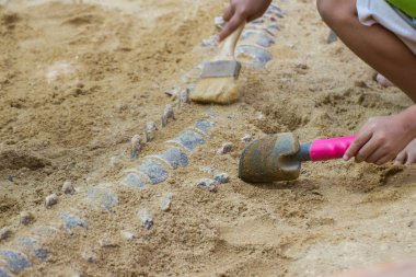 Öğrenme hakkında Dinozor fosilleri simülasyon parkta, Asya Bangkok Tayland kazı çocuk.
