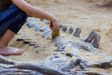 Öğrenme hakkında Dinozor fosilleri simülasyon parkta, Asya Bangkok Tayland kazı çocuk.