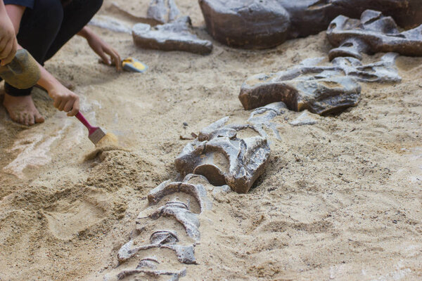 Children learning about, Excavating dinosaur fossils simulation in the park, Asia Bangkok Thailand.