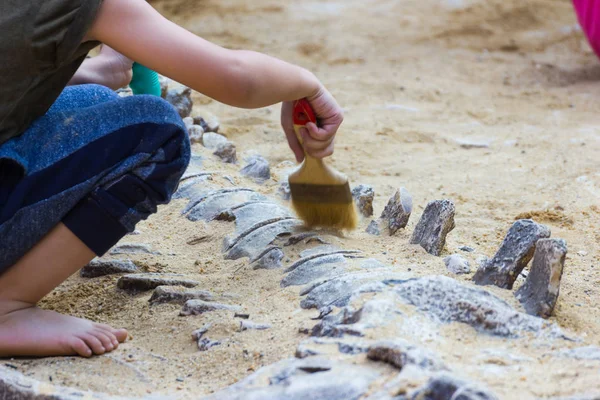 Öğrenme hakkında Dinozor fosilleri simülasyon parkta, Asya Bangkok Tayland kazı çocuk.