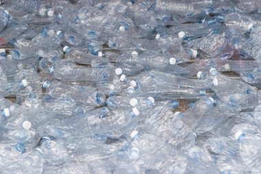 plastik şişeler, plastik şişe boş geri dönüşüm kavramı kullanılan 