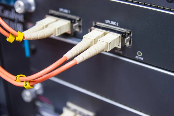 cable network , fiber optic cable connect to switch port in server room