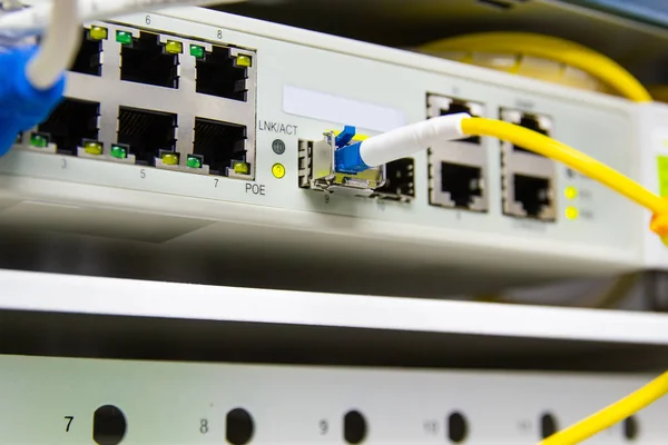 Jaringan kabel, kabel serat optik terhubung ke port switch — Stok Foto
