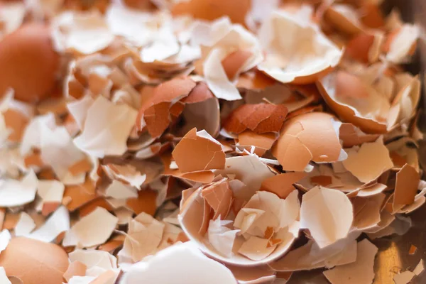 Cerrar el gran número de cáscaras de huevo, huevos de gallina —  Fotos de Stock