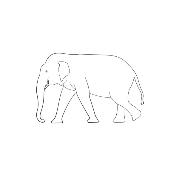 Bianco Immagine Contorno Elefante Asia Piedi Grafica Vettoriale Illustrazione Isolato — Vettoriale Stock