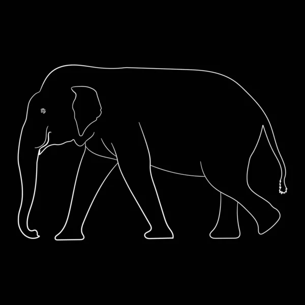Black Image Outline Elephant Ásia Walking Graphics Design Vector Ilustração — Vetor de Stock