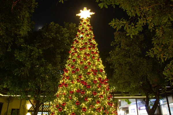 Árboles de Navidad adornan y Correa Accesorios Por la noche e iluminación Tiempo de Navidad —  Fotos de Stock