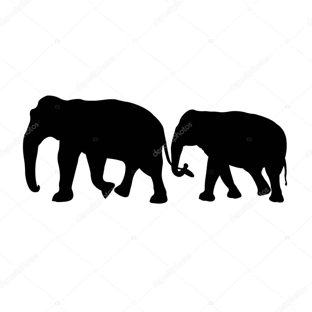 black image outline two elephant Asia walking and trunk touch the tail, graphics design, vector Illustration isolated on black background