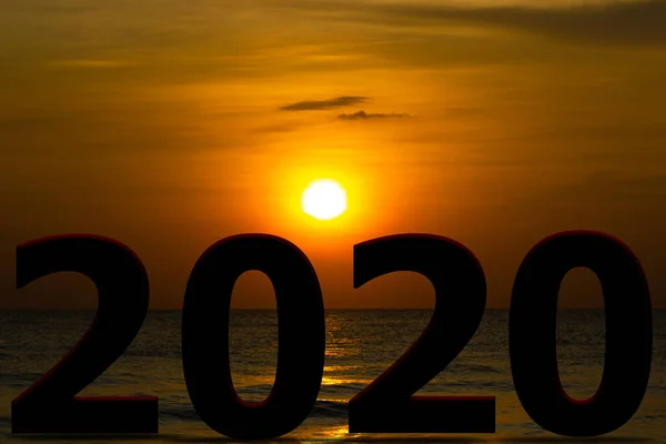 Frohes neues Jahr 2020 Silhouette Sonnenaufgang oder Sonnenuntergang auf dem Hintergrund — Stockfoto