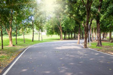 Bangkok Tayland 'da dinlenmek için doğal bir parkta yollar ve ağaçlar