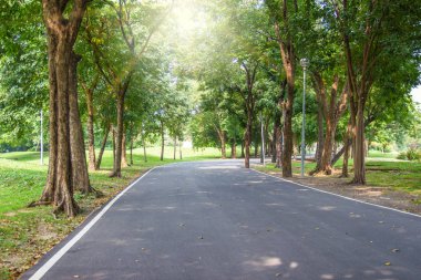 Bangkok Tayland 'da dinlenmek için doğal bir parkta yollar ve ağaçlar
