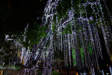 Bahçedeki ağaçta asılı duran dekoratif ip lambaları.  