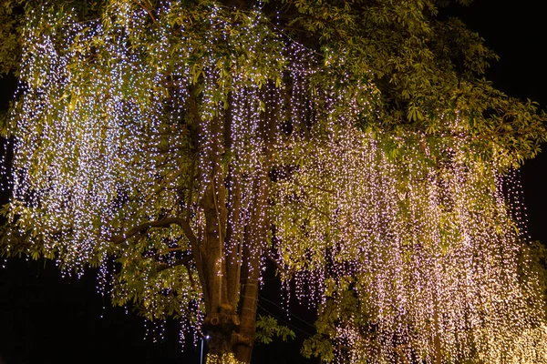 Decorative luci di stringa all'aperto appese sull'albero in giardino — Foto Stock