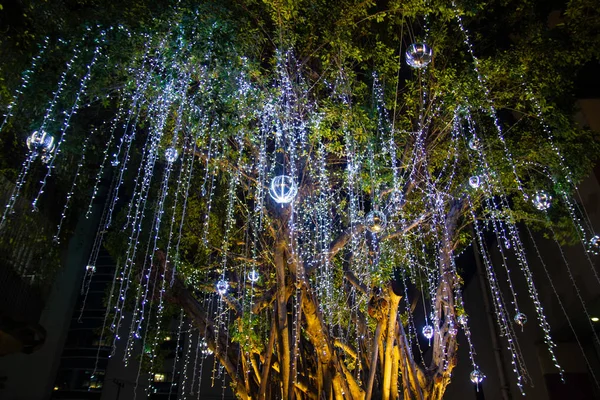 Luzes decorativas de corda ao ar livre penduradas na árvore no jardim — Fotografia de Stock