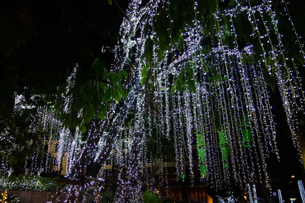 Декоративні вуличні струнні ліхтарі, що висять на дереві в саду — стокове фото