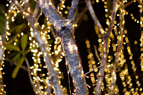 Dekorativní venkovní řetězec světla visící na stromě v zahradě — Stock fotografie