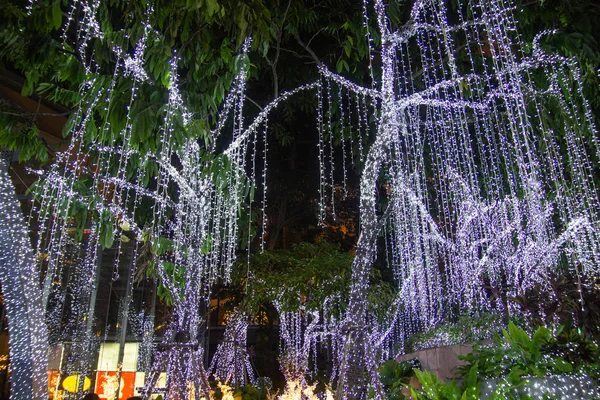 Decorative luci di stringa all'aperto appese sull'albero in giardino — Foto Stock
